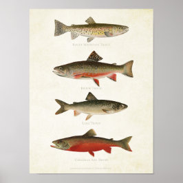 Póster Peces de época - truchas
