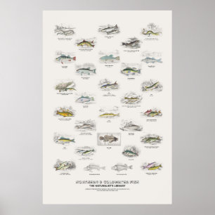 Póster Peces del Norte y de Agua Fría - Biblioteca del Na