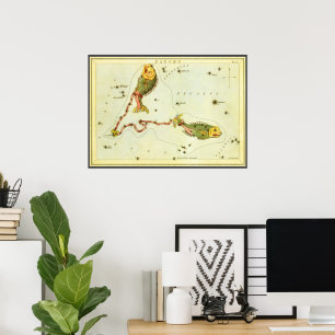 Póster Peces, Espejo de Urania de constelación vintage