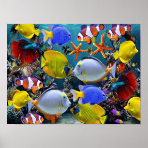 Póster peces tropicales de acuario