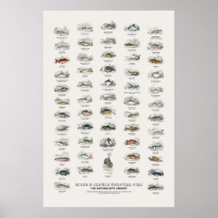 Póster Peces Tropicales de Río y Selva-Biblioteca del Nat