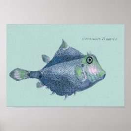 Póster Peces tropicales vintage