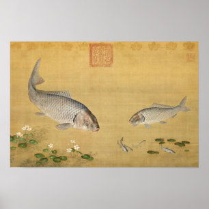 Póster Peces y plantas acuáticas por Giuseppe Castiglione
