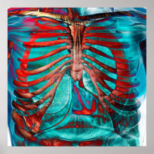 Póster Pecho humano
