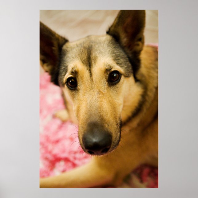 Póster Pedales Marley Cherry Blossom (Frente)