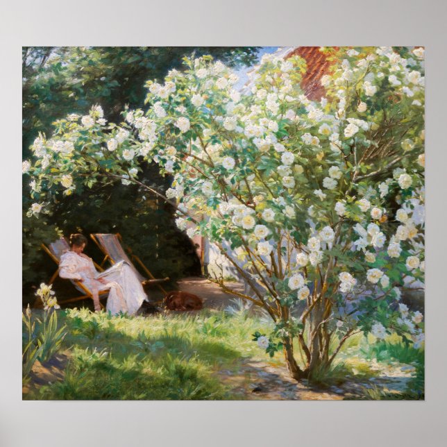 Póster Peder Severin Kroyer - Rosas (Frente)