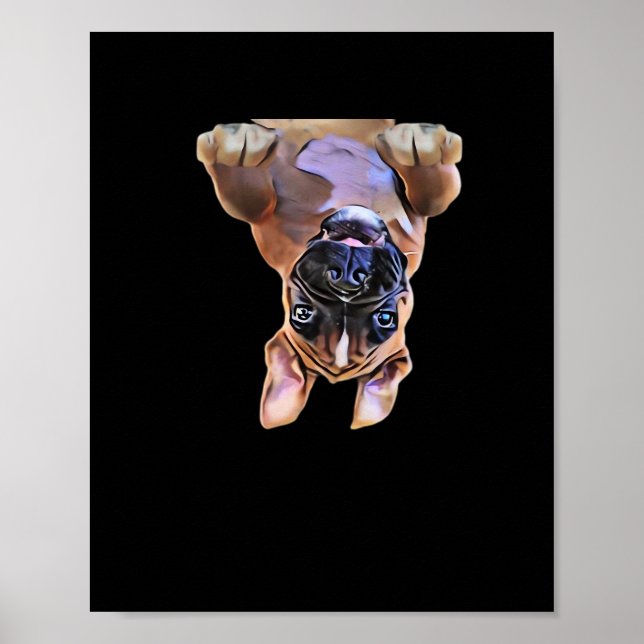 Póster Peekaboo Boxer (Frente)