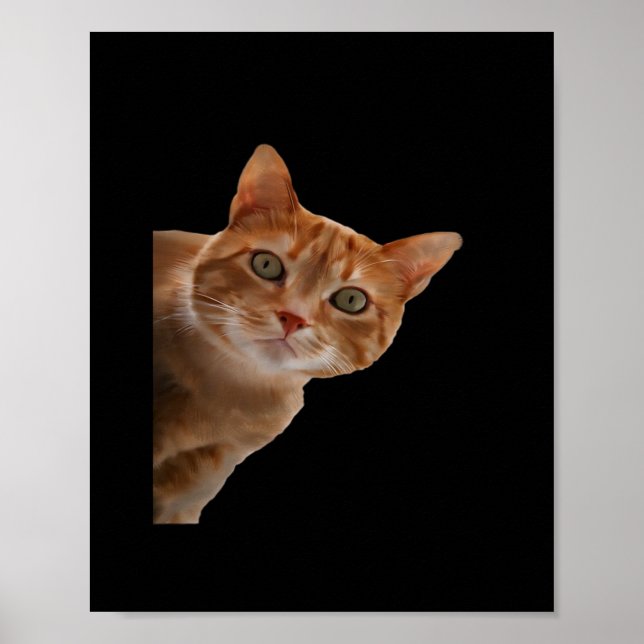 Póster Peekaboo - Pintura (Frente)