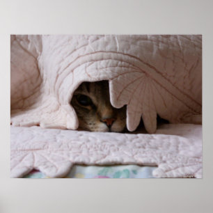 Póster Peeking Tom poster