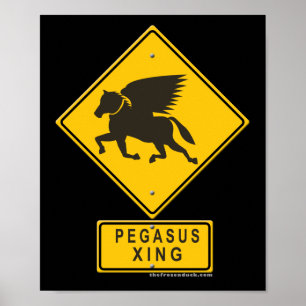 Póster Pegaso XING