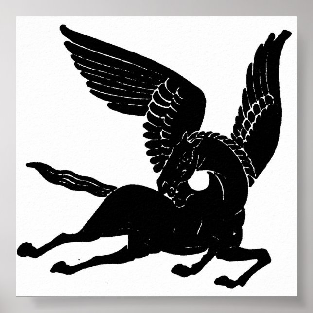 Póster Pegasus (Frente)