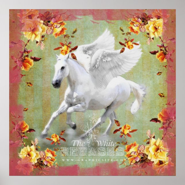Póster Pegasus II - Poster (Frente)