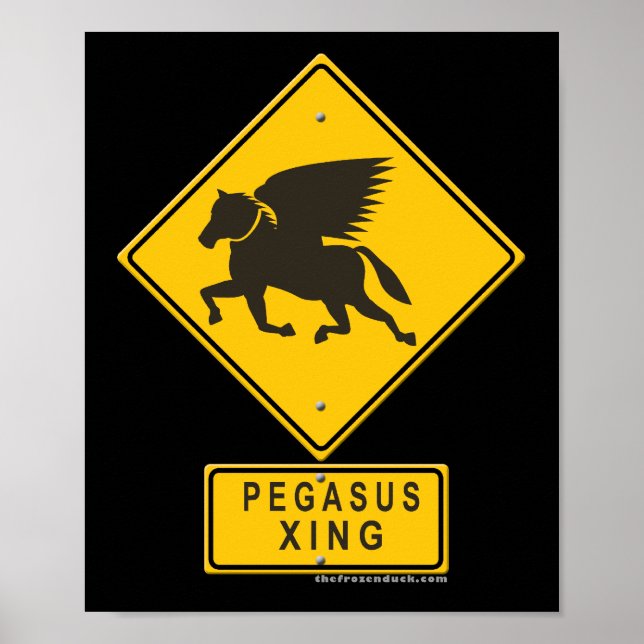 Póster Pegasus XING (Frente)