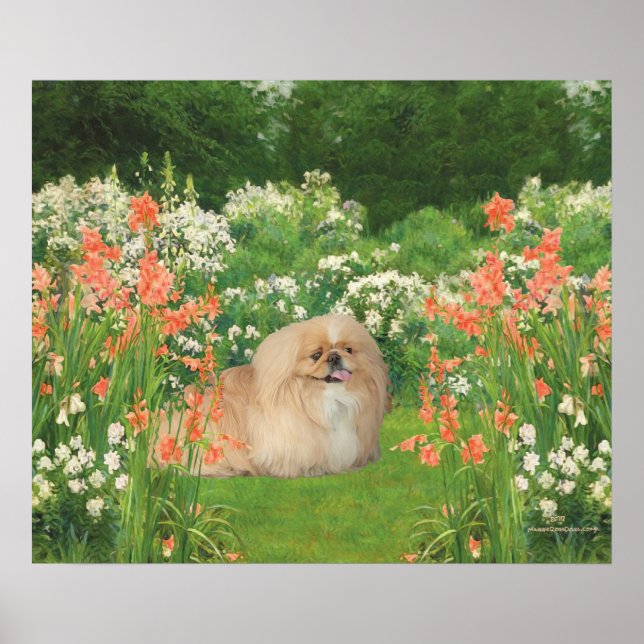 Póster Pekinés en un jardín (Frente)