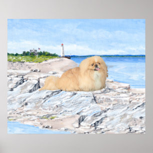 Póster Pekingese en el faro