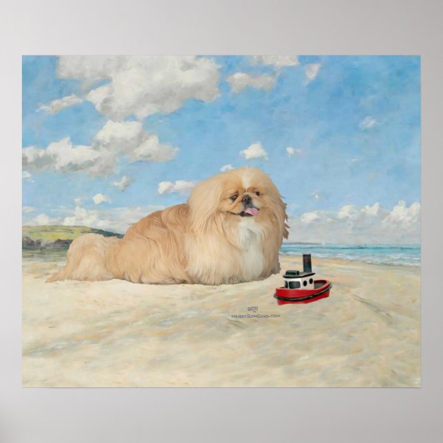 Póster Pekingese en la orilla del mar (Frente)