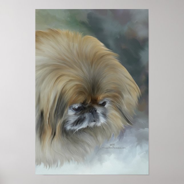 Póster Pekingese pensivo (Frente)