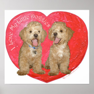 Póster Pekingese / Poodle Mix Día de San Valentín