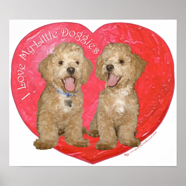 Póster Pekingese / Poodle Mix Día de San Valentín (Frente)