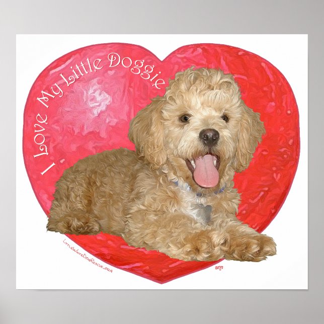 Póster Pekingese / Poodle Mix Día de San Valentín (Frente)