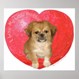 Póster Pekingese / Shih Tzu Día de San Valentín