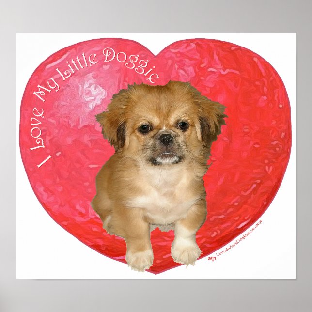 Póster Pekingese / Shih Tzu Día de San Valentín (Frente)