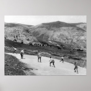 Póster Pelea de bola de nieve - Fiesta de campo de encues