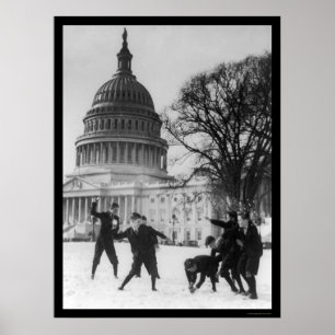 Póster Pelea de nieve en la capital Washington, DC 1925