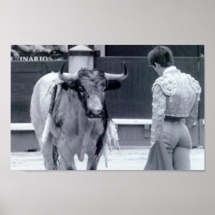 Póster Pelea de toros