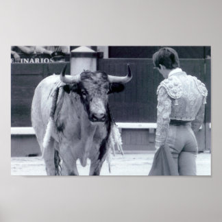 Póster Pelea de toros