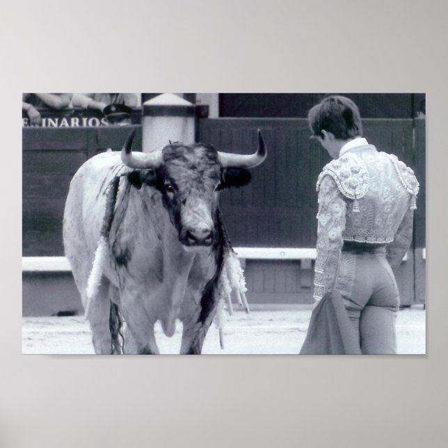 Póster Pelea de toros (Frente)