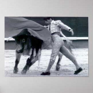Póster Pelea de toros en España