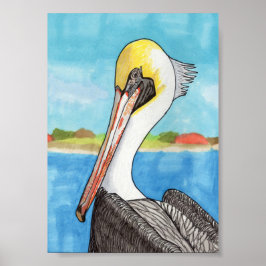 Póster Pelican 5x7