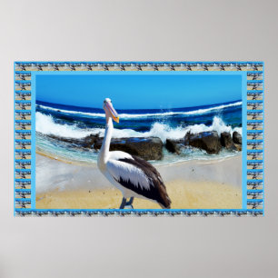Póster Pelican, amante de la playa,