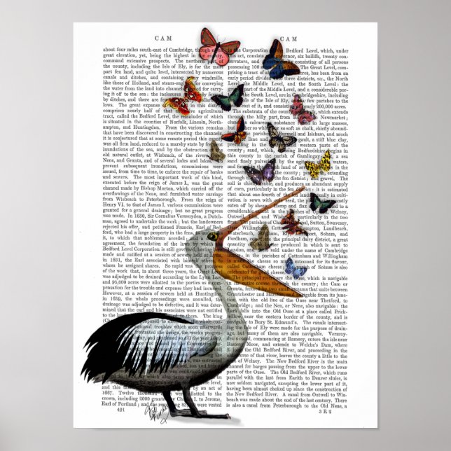 Póster Pelican & Butterflies (Frente)