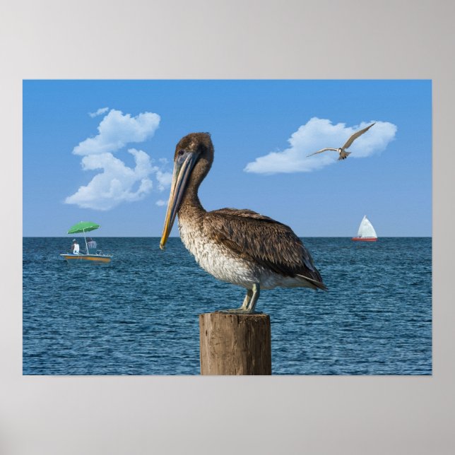 Póster Pelican en un Post Print o Poser (Frente)