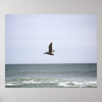 Pelican marrón volando sobre el color del océano 1