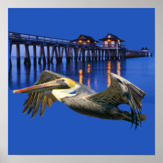 Póster Pelican Pier