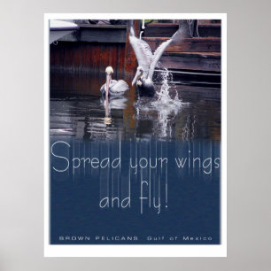 Póster Pelican Takoff