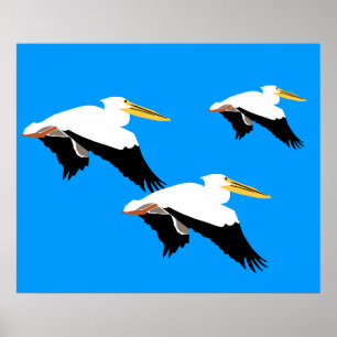 Póster Pelican volando en óval azul