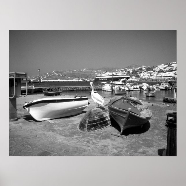 Póster Pelican y Boats (blanco y negro) (Frente)