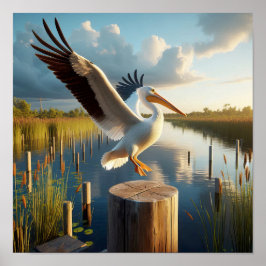 Póster Pelícano Blanco Americano Elegante en Humedales Se