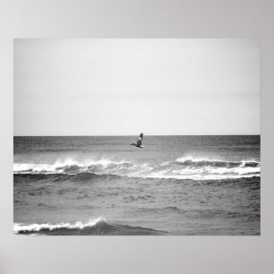 Póster Pelícano y negro volando sobre el océano 16x20