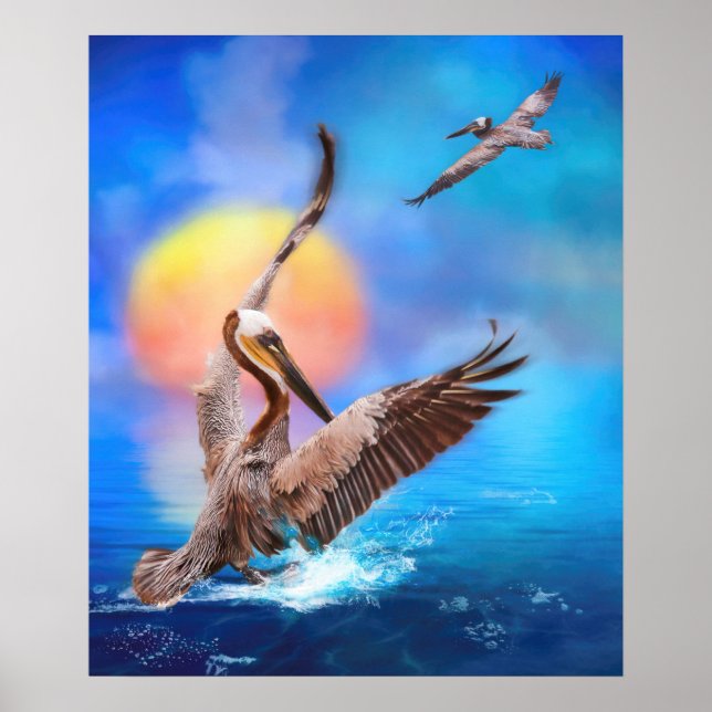 Póster Pelícanos marrones "SUN KISSED PELICANOS" (Frente)