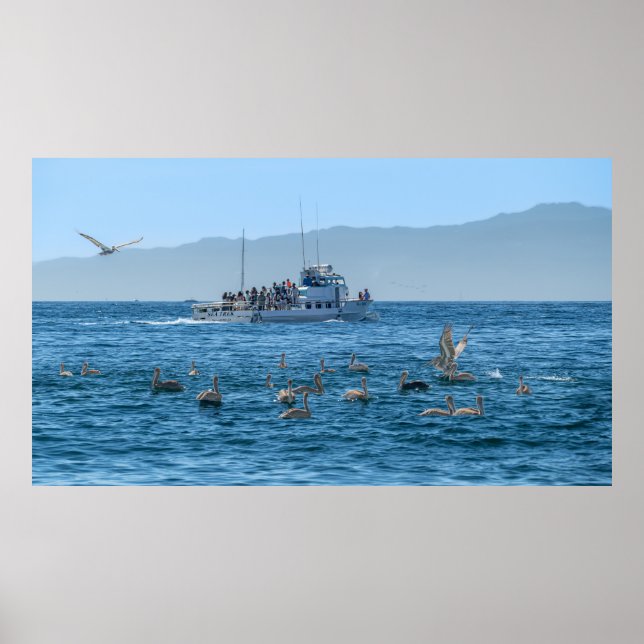 Póster Pelicans Basking & Boat - Marina Del Rey, CA (Frente)