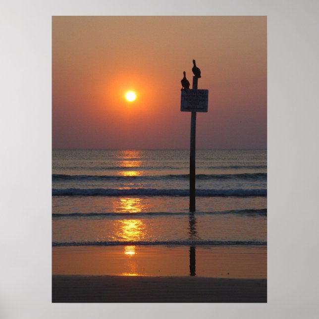 Póster Pelicans Sunrise Ocean Daytona Beach FL Poster (Frente)