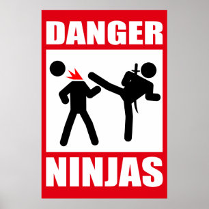 Póster Peligro Ninjas