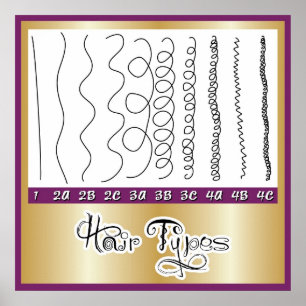 Póster Pelo Types1