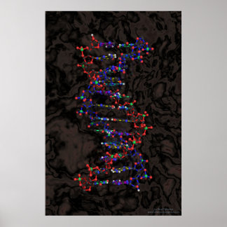 Póster Pelota y palo contra granito