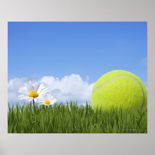 Póster Pelotas de tenis (Frente)